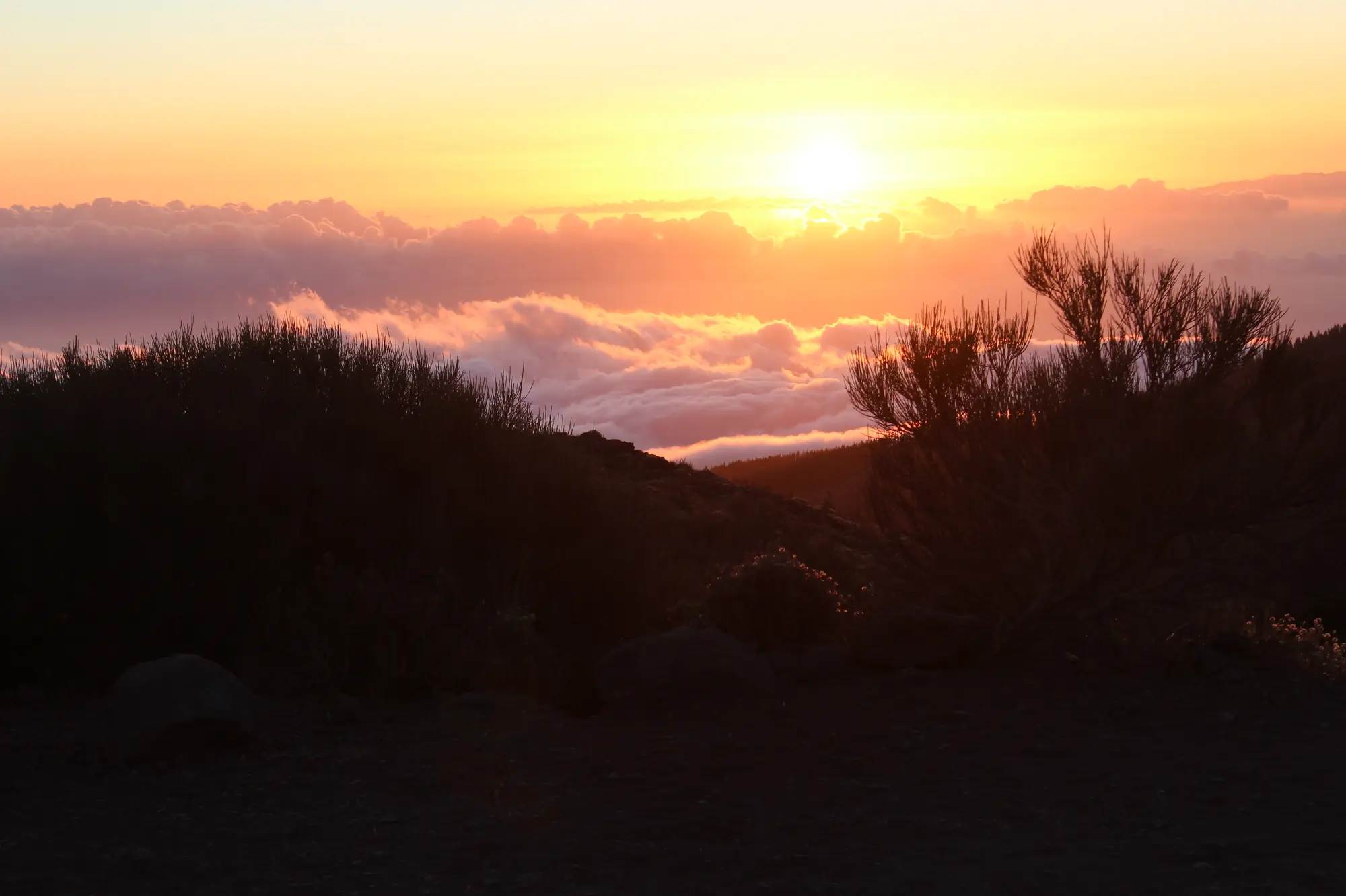 Quad Adventure Tour — Sunset